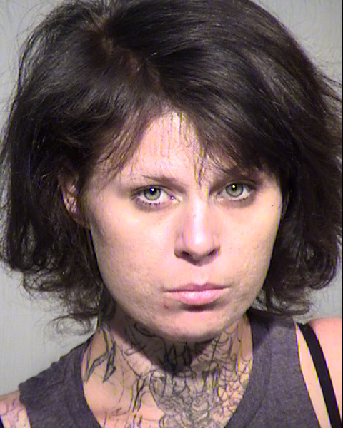 PAIGE LEE TERRAIN Mugshot / Maricopa County Arrests / Maricopa County Arizona