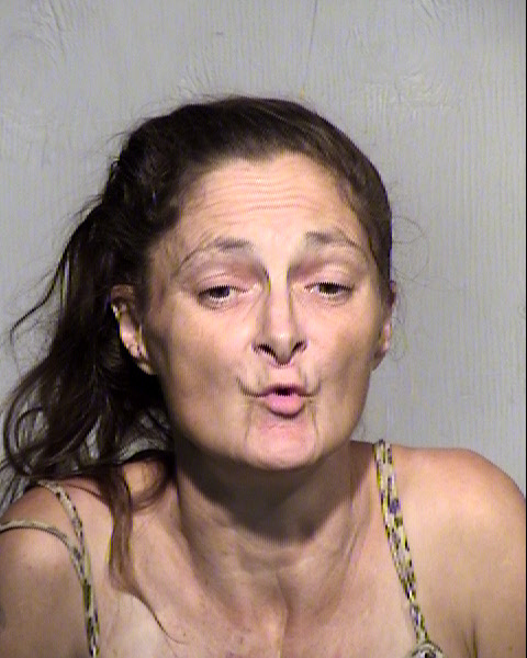 TERESA LEE HAMILTON Mugshot / Maricopa County Arrests / Maricopa County Arizona