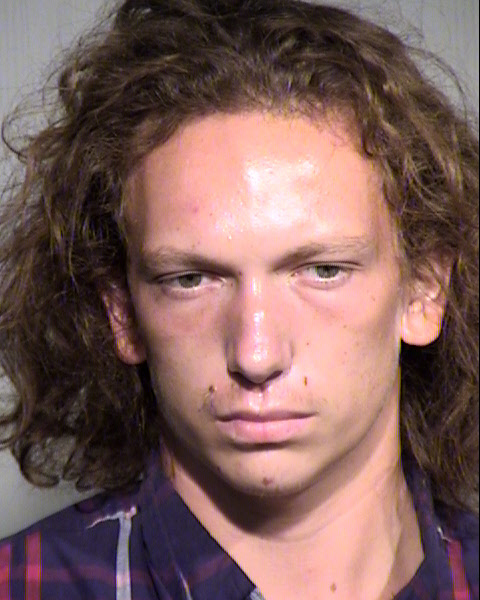 BRENDAN MICHAEL WIGGINS Mugshot / Maricopa County Arrests / Maricopa County Arizona