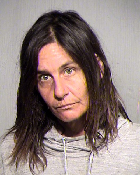 LEEANNA MARIE RICHARDSON Mugshot / Maricopa County Arrests / Maricopa County Arizona