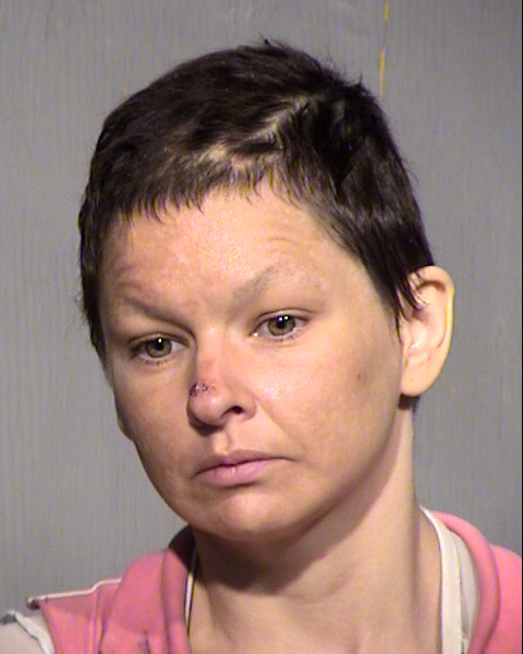 SARAH L JOHNSTON Mugshot / Maricopa County Arrests / Maricopa County Arizona