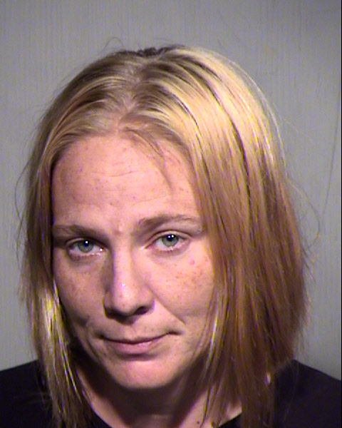 SHANNON MARIE GREENWALD Mugshot / Maricopa County Arrests / Maricopa County Arizona