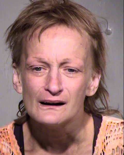 LEAH BETH HENSIAK-PRINDL Mugshot / Maricopa County Arrests / Maricopa County Arizona