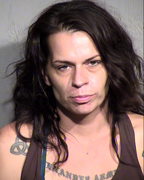 DAWN LEE ARMENTA Mugshot / Maricopa County Arrests / Maricopa County Arizona