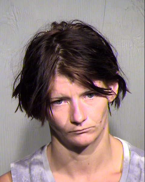 AMBER HIGGINBOTHAM Mugshot / Maricopa County Arrests / Maricopa County Arizona