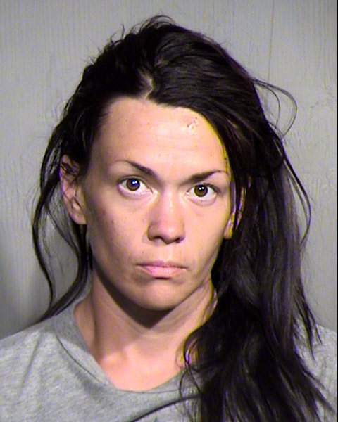 LINDSEY DAWN SANDERS Mugshot / Maricopa County Arrests / Maricopa County Arizona