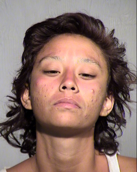 CHRISTINE MONIQUE VARGAS Mugshot / Maricopa County Arrests / Maricopa County Arizona