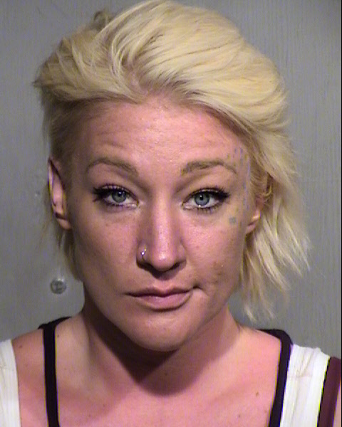 BRIANA LEA SLAGER Mugshot / Maricopa County Arrests / Maricopa County Arizona