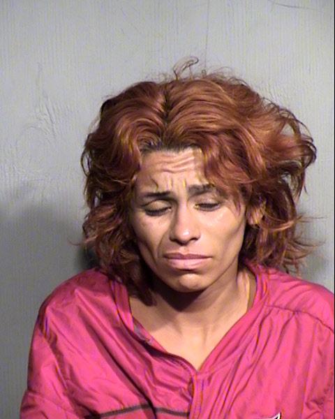 MARIA ELENA GARCIA Mugshot / Maricopa County Arrests / Maricopa County Arizona