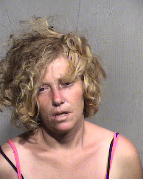 PATRICIA RAYE COOK Mugshot / Maricopa County Arrests / Maricopa County Arizona