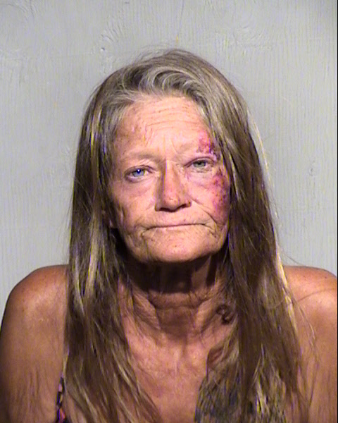 TEDDI ROMERO Mugshot / Maricopa County Arrests / Maricopa County Arizona