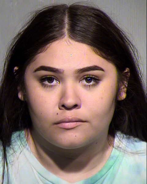 MEGAN NOELLE CLEMENS Mugshot / Maricopa County Arrests / Maricopa County Arizona