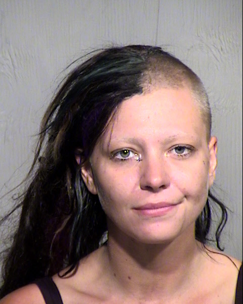 ERIN S DRANE Mugshot / Maricopa County Arrests / Maricopa County Arizona