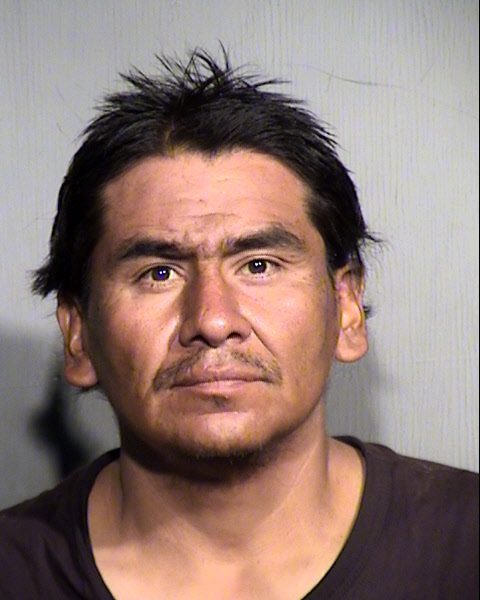 HARRY ELTHIE Mugshot / Maricopa County Arrests / Maricopa County Arizona