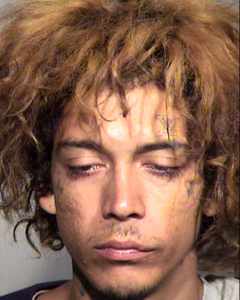 JOSE MARIA FIGUEROA CAMPOS Mugshot / Maricopa County Arrests / Maricopa County Arizona