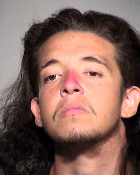 PHILLIP MONROE HIGGINS Mugshot / Maricopa County Arrests / Maricopa County Arizona
