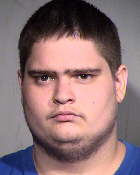 STEVEN JOSEPH WILMOTH Mugshot / Maricopa County Arrests / Maricopa County Arizona