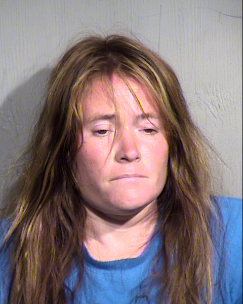 CHELSEY LEIGH CARTER-BINFORD Mugshot / Maricopa County Arrests / Maricopa County Arizona