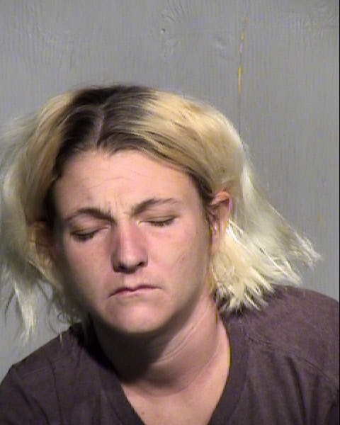 MICHELLE LEE MARTIN Mugshot / Maricopa County Arrests / Maricopa County Arizona
