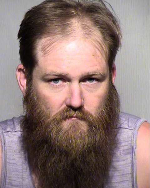THEODORE JAMES HOLSINGER JR Mugshot / Maricopa County Arrests / Maricopa County Arizona