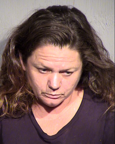 JOAN ALEXIS MENDELSOHN Mugshot / Maricopa County Arrests / Maricopa County Arizona