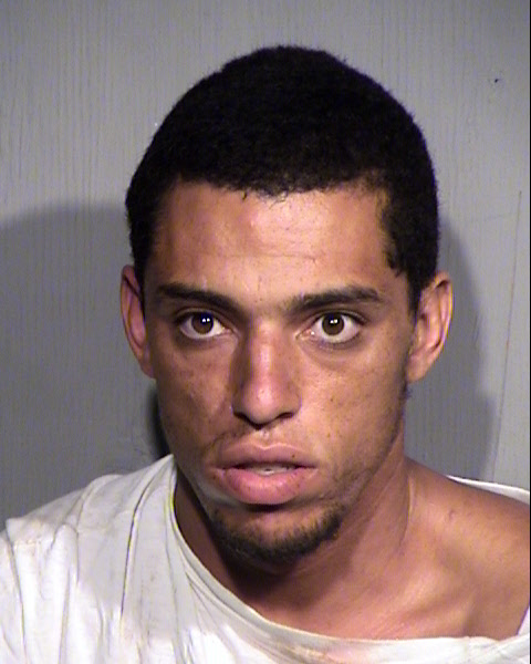 JAMES CHRISTIAN MARTINEAU Mugshot / Maricopa County Arrests / Maricopa County Arizona