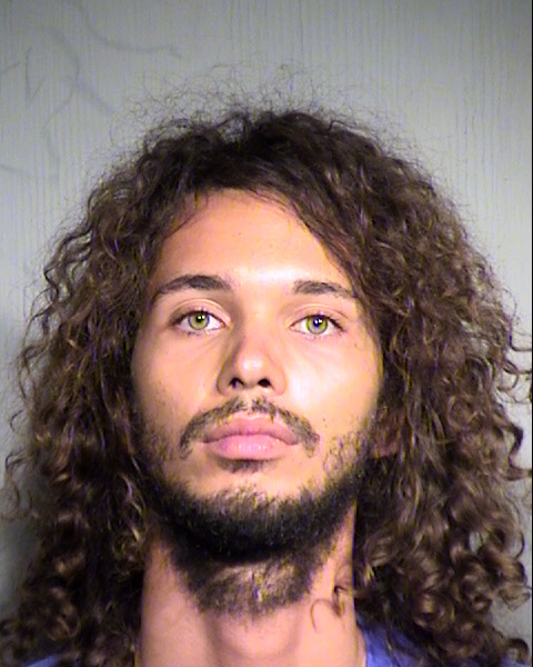 TRAVIS JAMES SALMON Mugshot / Maricopa County Arrests / Maricopa County Arizona