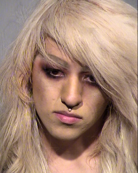 BRANDON MICHAEL GREENBERG Mugshot / Maricopa County Arrests / Maricopa County Arizona