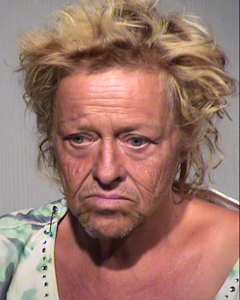 MELINDA JO DANIELS Mugshot / Maricopa County Arrests / Maricopa County Arizona