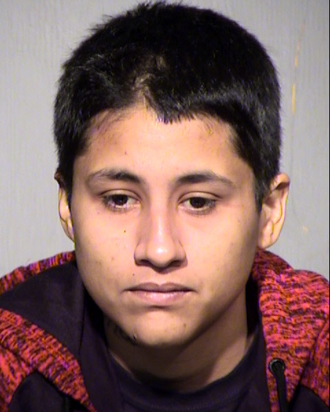 ANTOINETTE LUPITA HERNANDEZ Mugshot / Maricopa County Arrests / Maricopa County Arizona