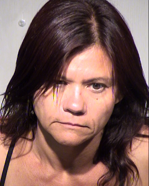 ANN HAMMER Mugshot / Maricopa County Arrests / Maricopa County Arizona