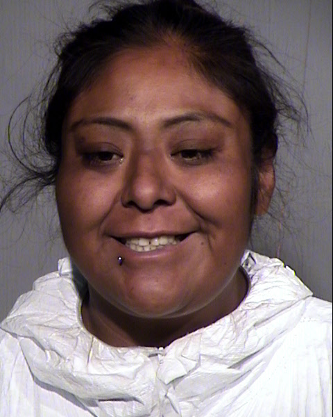 SARA JEAN SMITH Mugshot / Maricopa County Arrests / Maricopa County Arizona