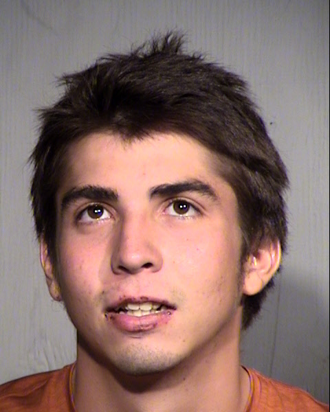 WILLIAM THOMAS BLEVINS Mugshot / Maricopa County Arrests / Maricopa County Arizona