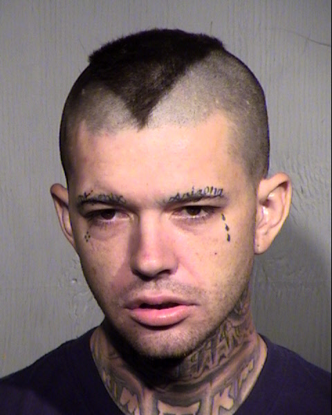 JOSHUA LEE HARRIS Mugshot / Maricopa County Arrests / Maricopa County Arizona