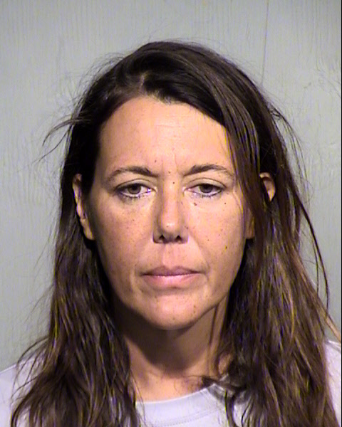 LAURA ANN DE PALMA Mugshot / Maricopa County Arrests / Maricopa County Arizona