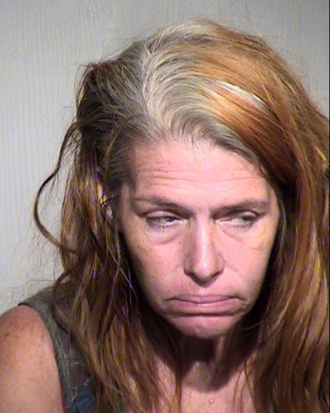 LORI LEE SMITH Mugshot / Maricopa County Arrests / Maricopa County Arizona