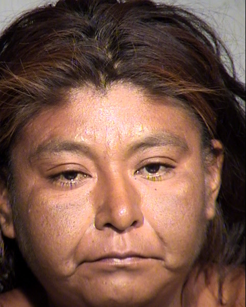 VANESSA NEL JACKSON Mugshot / Maricopa County Arrests / Maricopa County Arizona