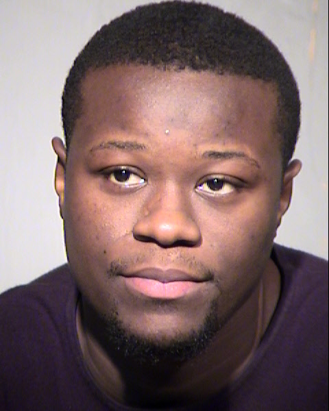 PETER G MATOR Mugshot / Maricopa County Arrests / Maricopa County Arizona