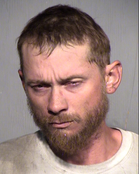 REGAN VAN HARLESS Mugshot / Maricopa County Arrests / Maricopa County Arizona