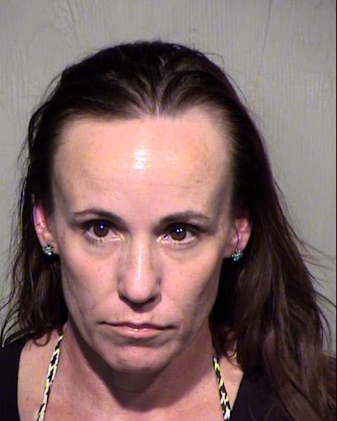 ALISON LEE Mugshot / Maricopa County Arrests / Maricopa County Arizona