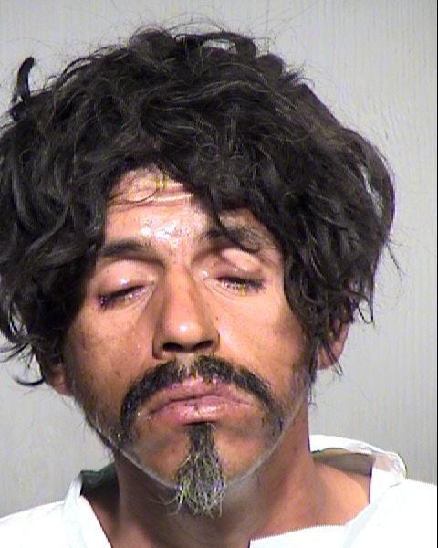 GUADALUPE S RUEDA Mugshot / Maricopa County Arrests / Maricopa County Arizona