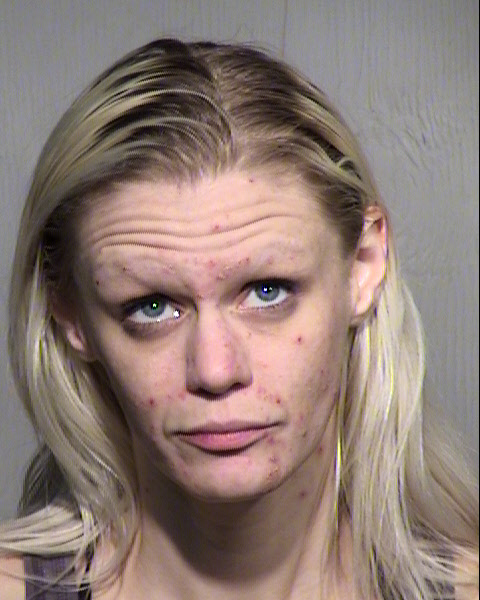 TAMARA L HEINSEN Mugshot / Maricopa County Arrests / Maricopa County Arizona