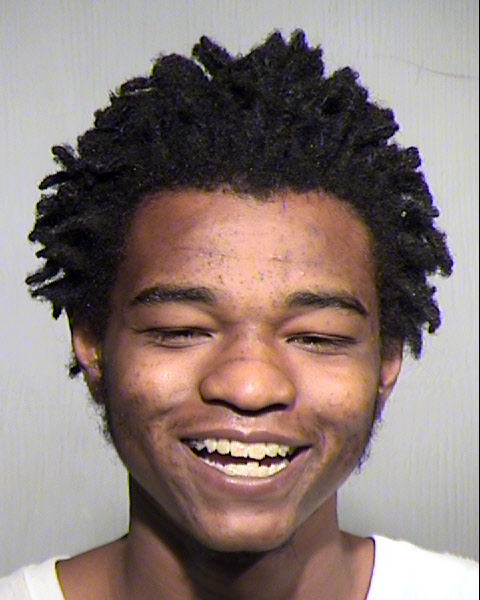 GAVIN THOMAS SCOTT Mugshot / Maricopa County Arrests / Maricopa County Arizona