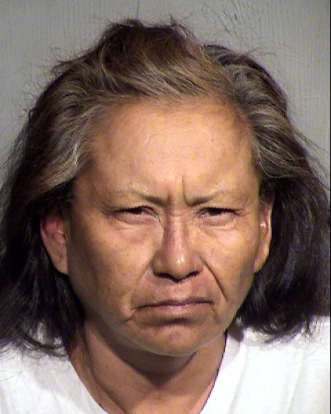 DARLENE ESKEE Mugshot / Maricopa County Arrests / Maricopa County Arizona