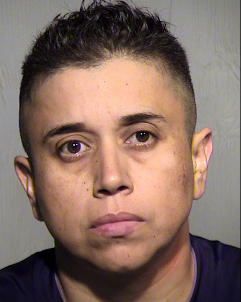 TERESA L AMBRIZ GARCIA Mugshot / Maricopa County Arrests / Maricopa County Arizona