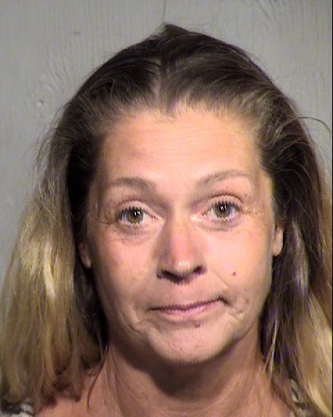 SUSAN M HENDRIX Mugshot / Maricopa County Arrests / Maricopa County Arizona
