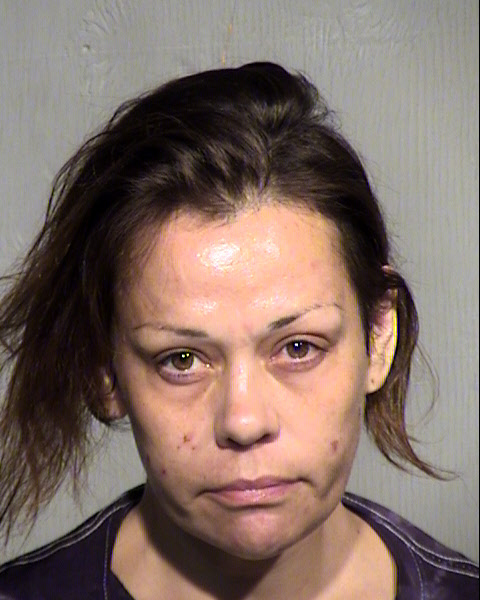 MARYJANE JANE HAWKINS Mugshot / Maricopa County Arrests / Maricopa County Arizona