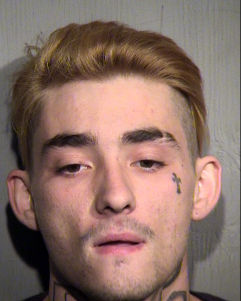 TYLER DECLERCQ Mugshot / Maricopa County Arrests / Maricopa County Arizona