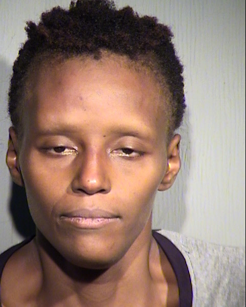 ERICA WHITE Mugshot / Maricopa County Arrests / Maricopa County Arizona