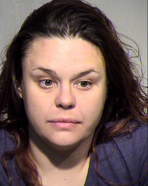 MISTY LYNNAE COOK Mugshot / Maricopa County Arrests / Maricopa County Arizona